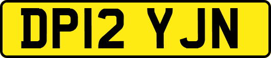 DP12YJN