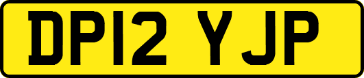 DP12YJP