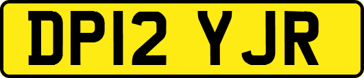 DP12YJR
