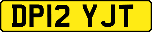 DP12YJT