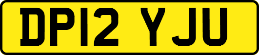 DP12YJU