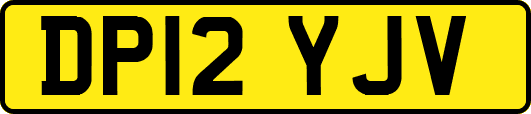 DP12YJV