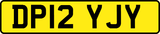 DP12YJY