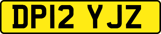 DP12YJZ
