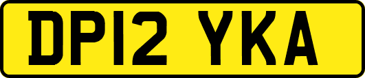 DP12YKA