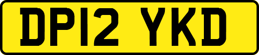 DP12YKD