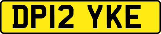 DP12YKE