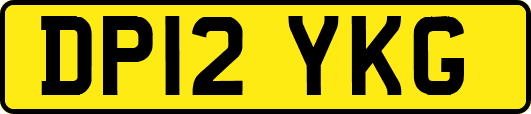 DP12YKG