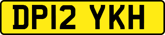 DP12YKH