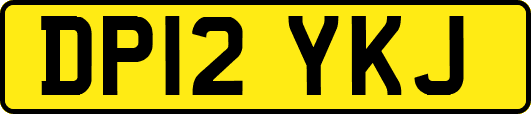 DP12YKJ