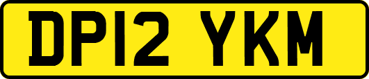 DP12YKM