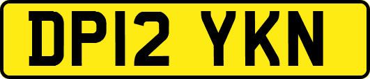 DP12YKN