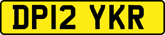 DP12YKR