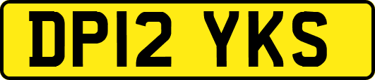 DP12YKS