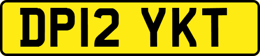 DP12YKT