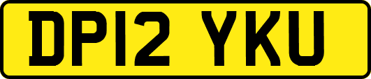 DP12YKU