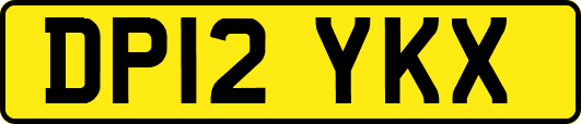 DP12YKX