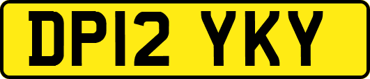 DP12YKY