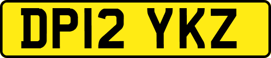 DP12YKZ