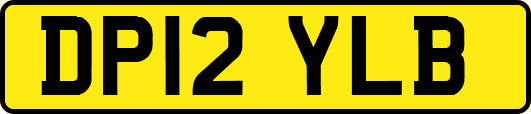 DP12YLB