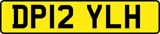 DP12YLH