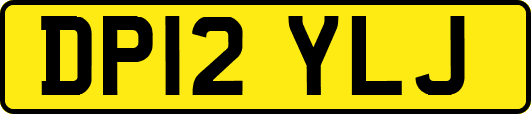 DP12YLJ