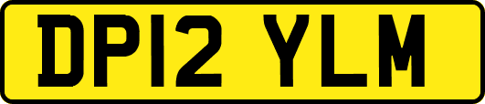 DP12YLM