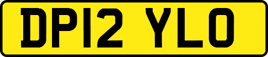 DP12YLO