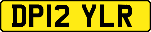 DP12YLR