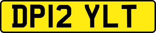 DP12YLT