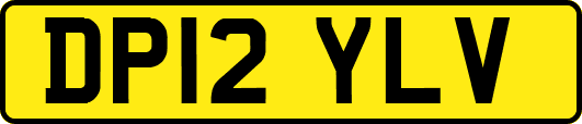 DP12YLV