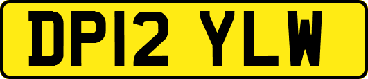 DP12YLW