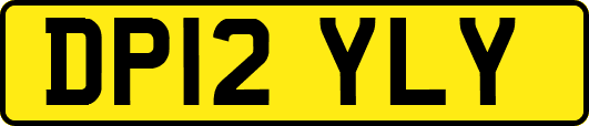 DP12YLY