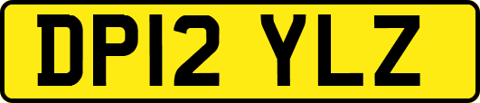 DP12YLZ