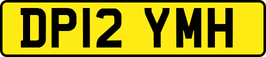 DP12YMH