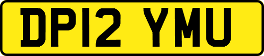DP12YMU
