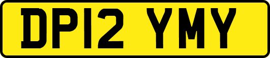DP12YMY