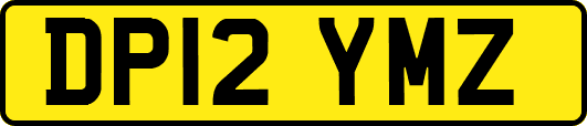 DP12YMZ