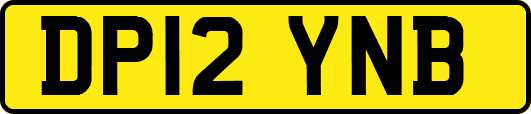 DP12YNB