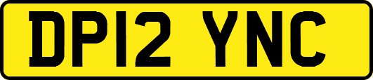 DP12YNC