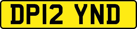 DP12YND