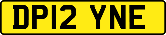 DP12YNE