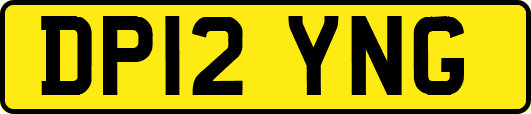 DP12YNG