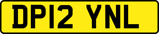 DP12YNL