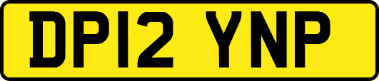 DP12YNP