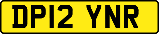 DP12YNR