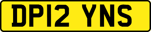 DP12YNS