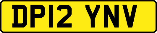 DP12YNV
