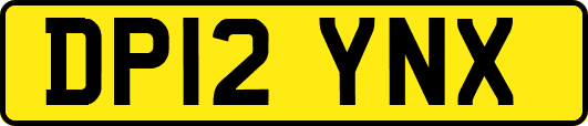 DP12YNX