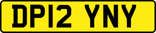 DP12YNY